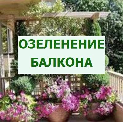 как озеленить балкон