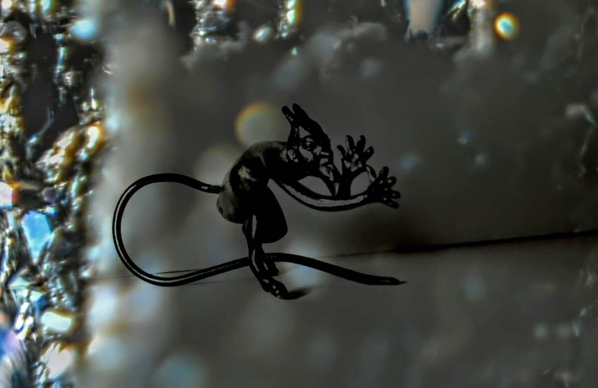 Фото автора рассказа Виктора Осмарова. 