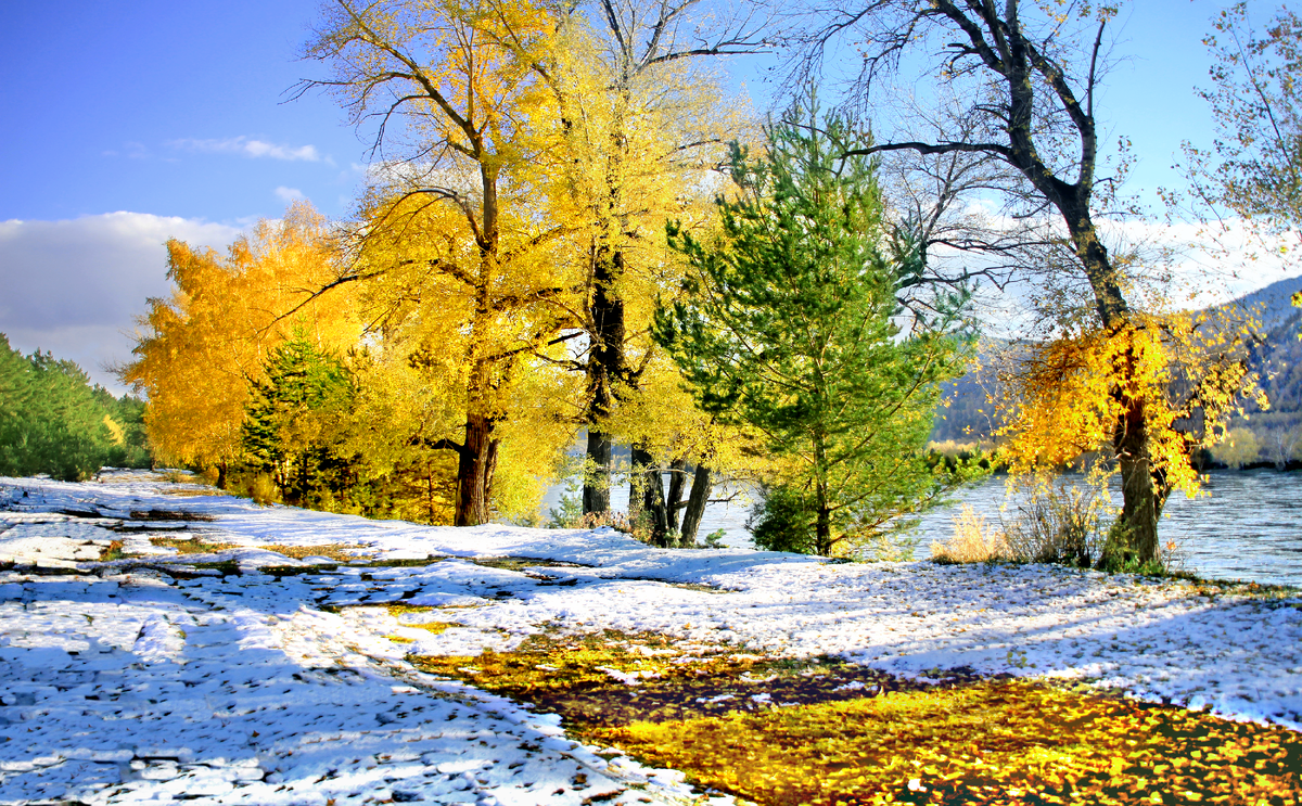 Фотография, стихотворение Василия Глуцкого