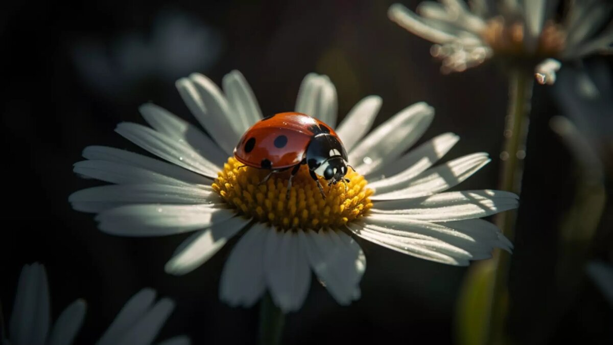     Источник: Изображение Midjourney