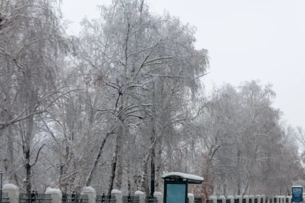    В Казани забытый воспитателем ребенок час пробыл на морозе
