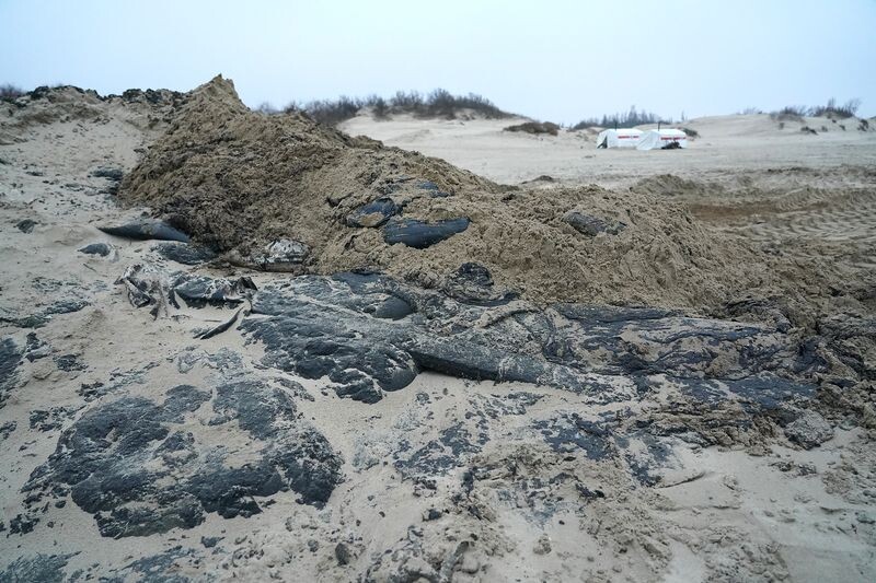     / Источник: © ИЗВЕСТИЯ/Павел Волков