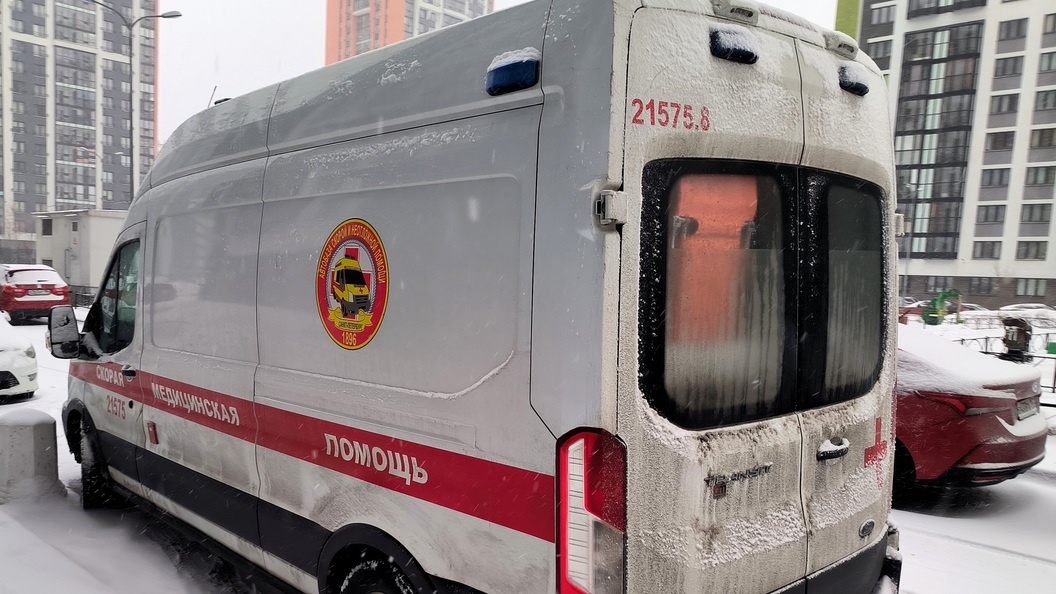    Максим Константинов/Globallookpress