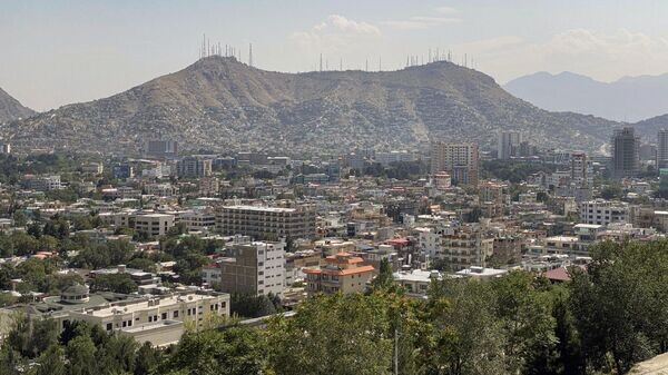    © Sputnik / Михаил Алаеддин