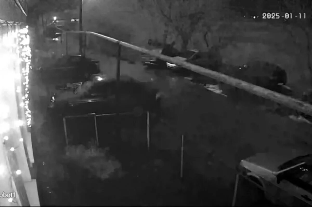    Яркая вспышка и взрыв испугали жителей волгоградской Елани