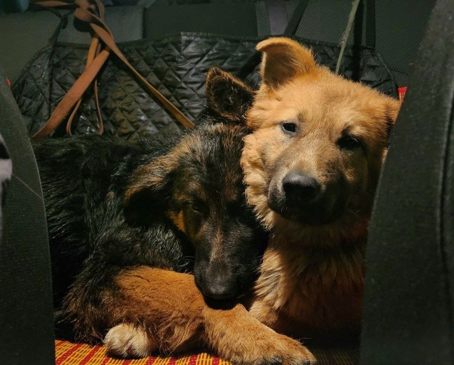 В машине жались друг к другу, но держались молодцами