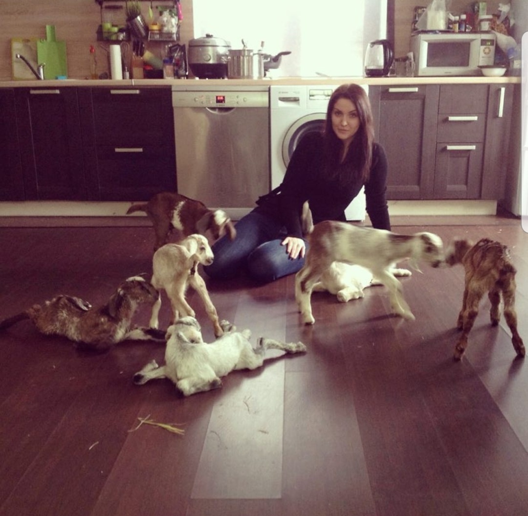 Автор блога 