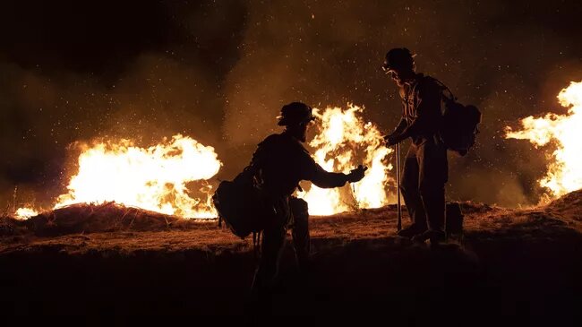     Калифорния. Источник: ria.ru Автор фото: Стрингер