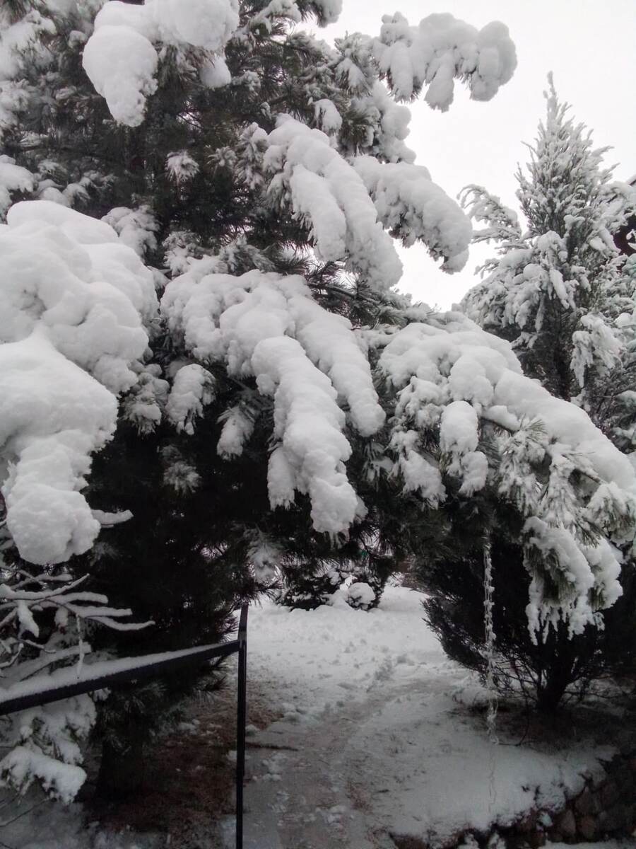 Фото Марской С. А.