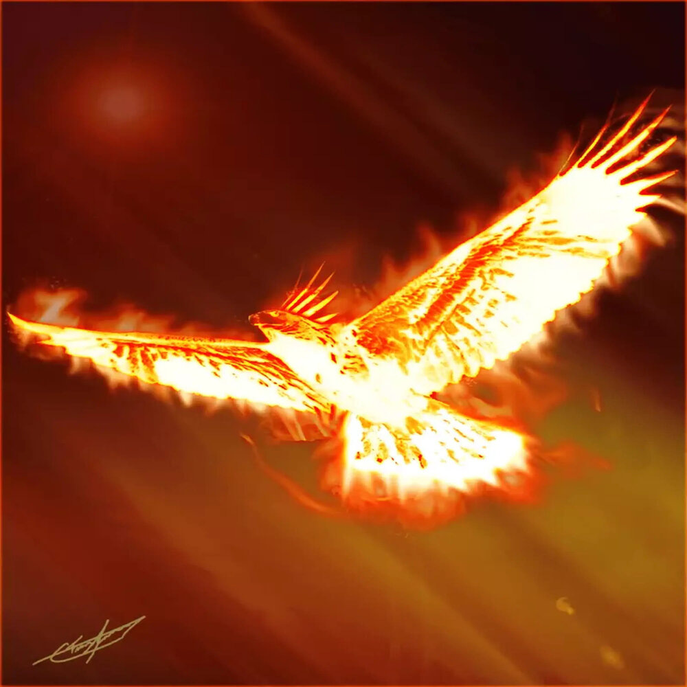 (из открытого источника)