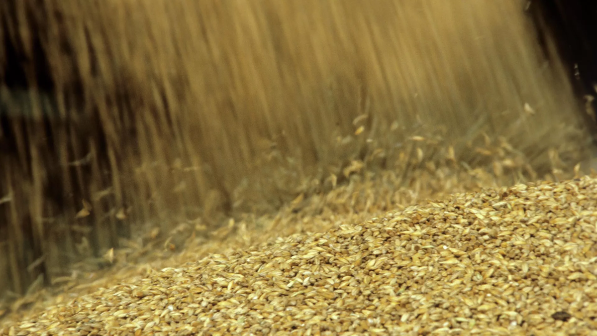 © photo: Sputnik / Alexander Liskin