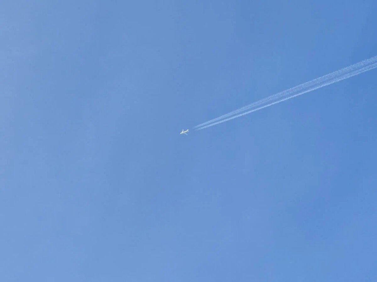    Фото: Юрий Серебренников/BFM Кубань