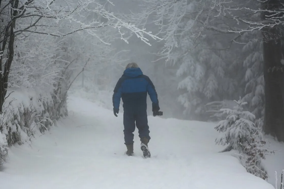 Яндекс картинки