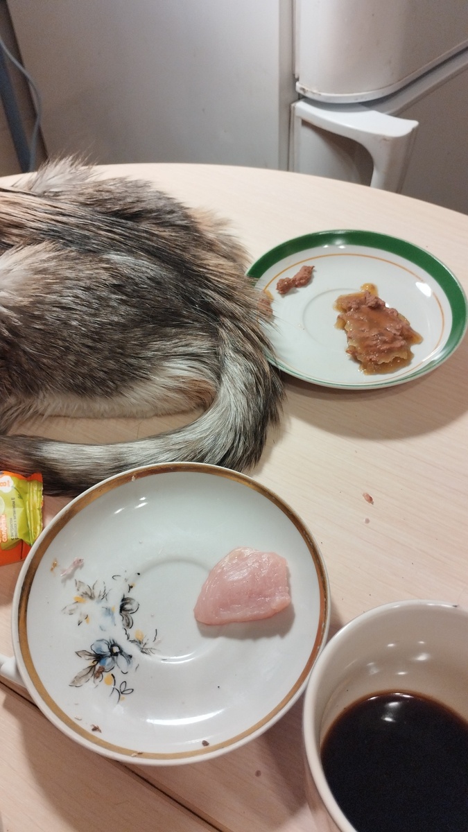 Киса уже не хотела есть