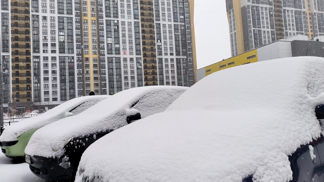    Максим Константинов/Globallookpress