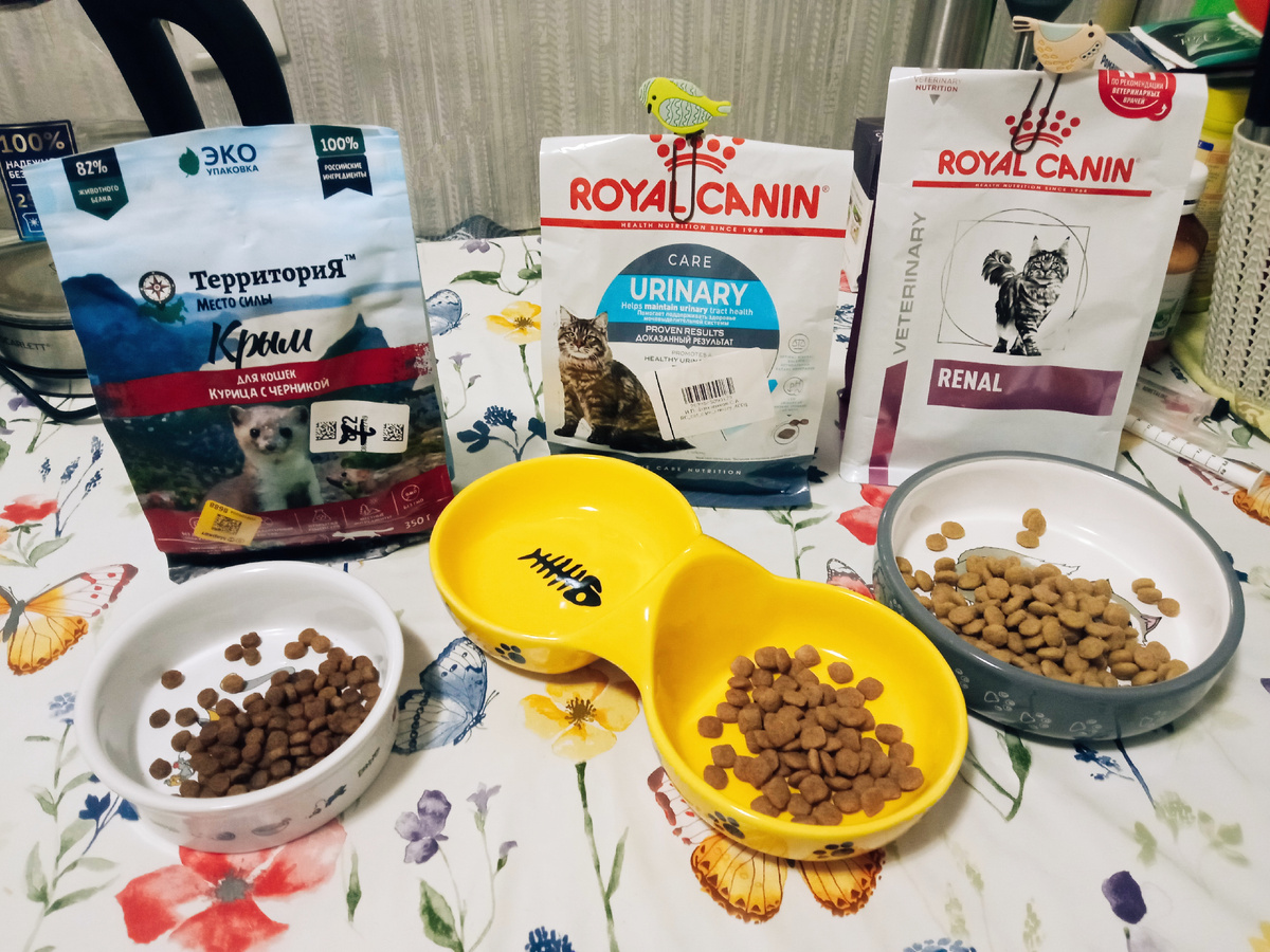 Сухие корма, которые кушают наши девочки-припевочки)