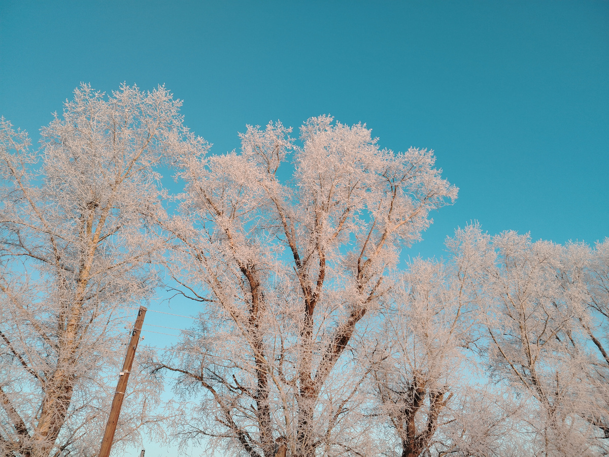 Сфоткал такие вот сибирские красоты