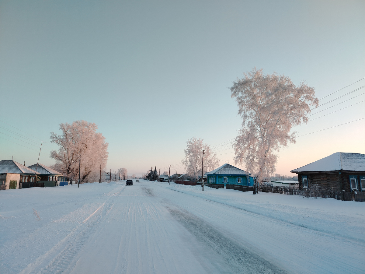 Выезд из деревни и кругом розовые деревья 
