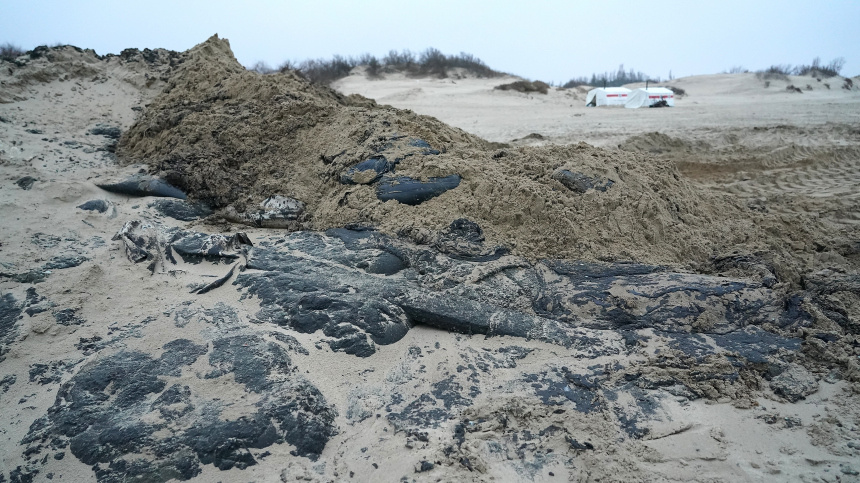    Фото: ИЗВЕСТИЯ/Павел Волков; МЧС России; 5-tv.ru