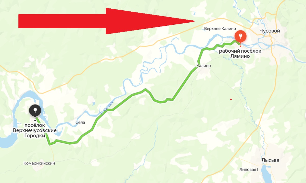 Угадайте, куда приехали оба щеночка?