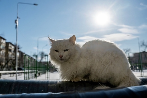 Фото: РИА Новости/Кирилл Зыков