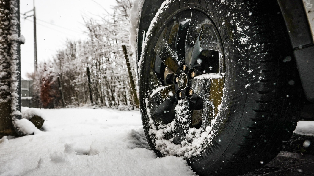    Фото: Bruno Fahy/Keystone Press Agency/Globallookpress