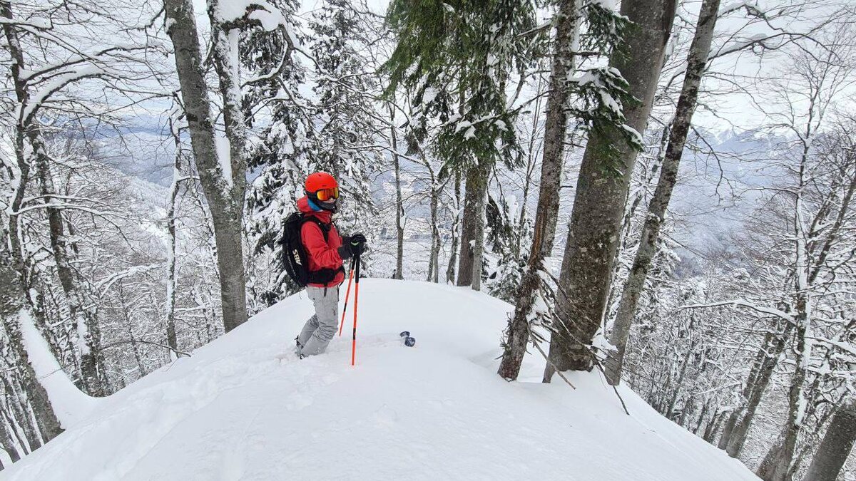 Фрирайд в Красной Поляне