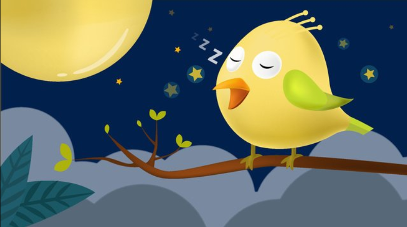 Теплой ночью, когда луна рассеяла тени и окрасила островок серебром, красивая черноголовая птица с широкими белыми бровями, желтым хохолком, напоминающем забавный чуб, и с покрытым мягкими перьями, брюшком, мирно спала в своем гнезде. Фото из открытых источников. 