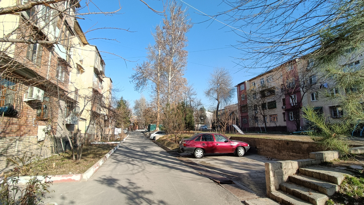 Чиланзар. Ташкент. Январь 2025г. Фото автора.
