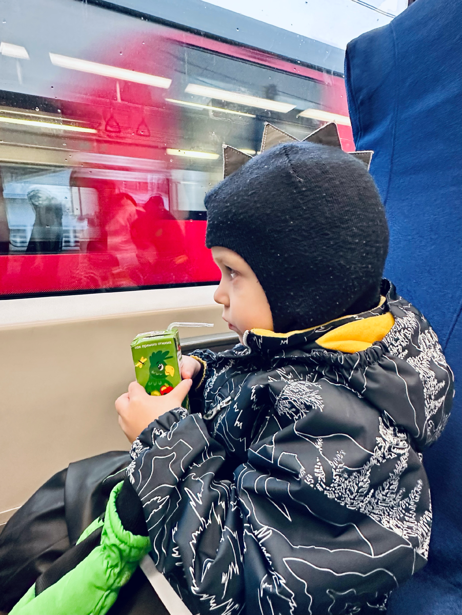 Мой любитель транспорта в «Ласточке».