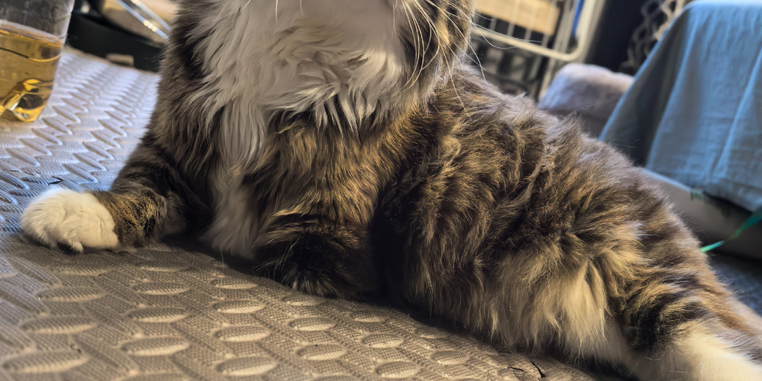 С НОВЫМ ГОДОМ