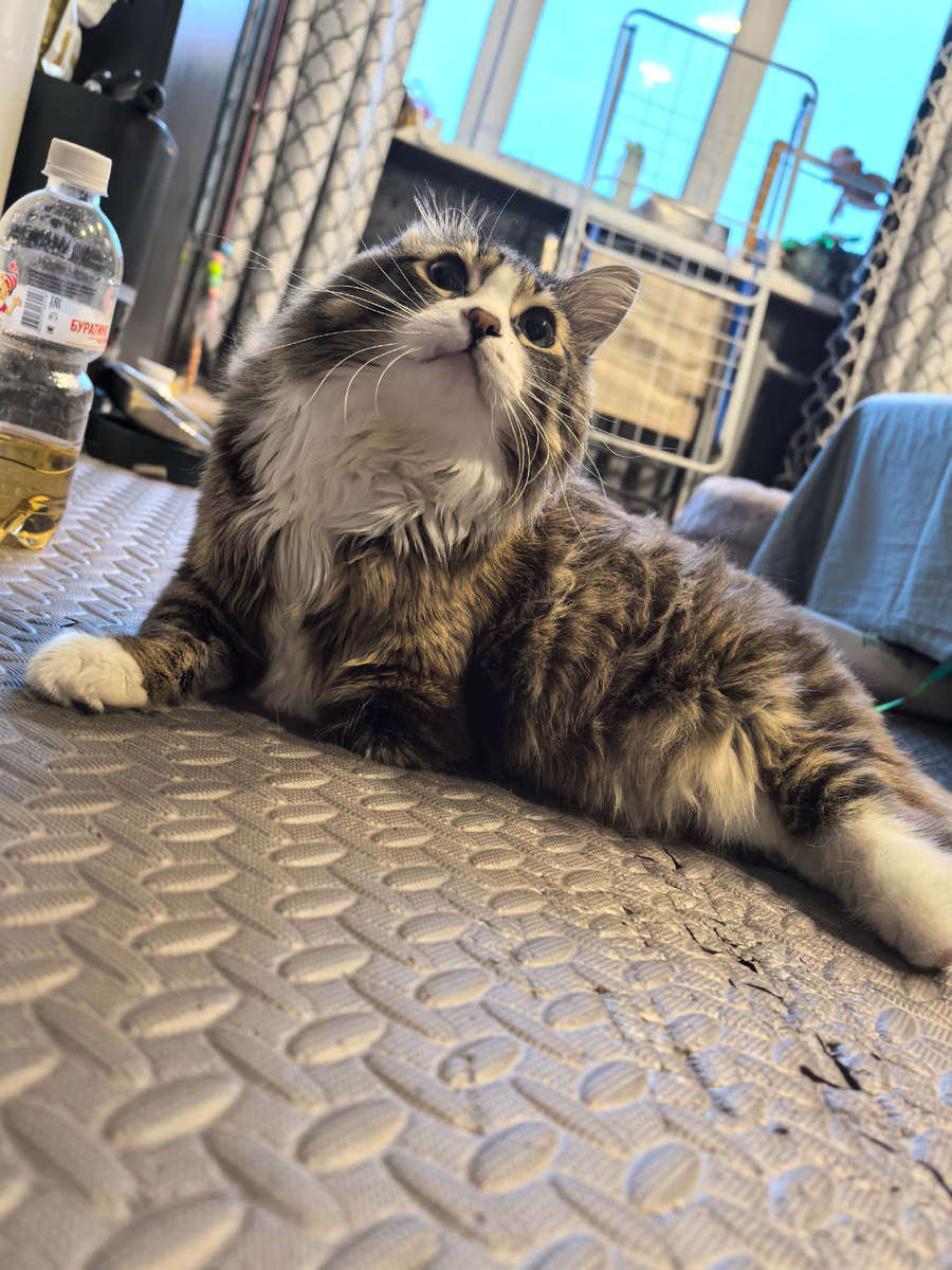 После мойки