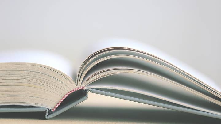  Фото: Shutterstock