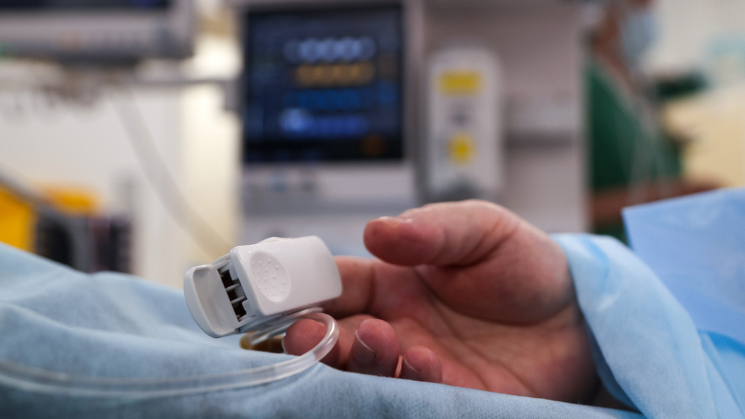    Belkin Alexey/Globallookpress