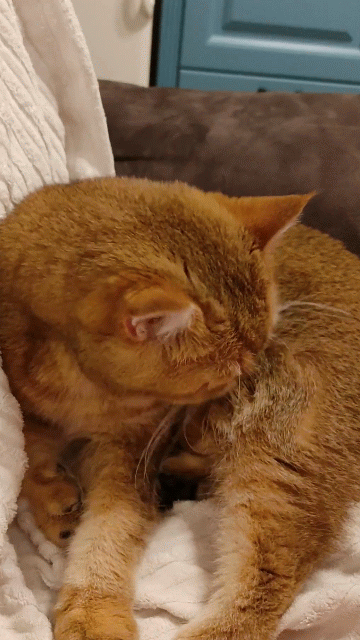 Ты тратишь тысячи на косметику, а я просто облизываюсь и сияю. Учись, смертный.