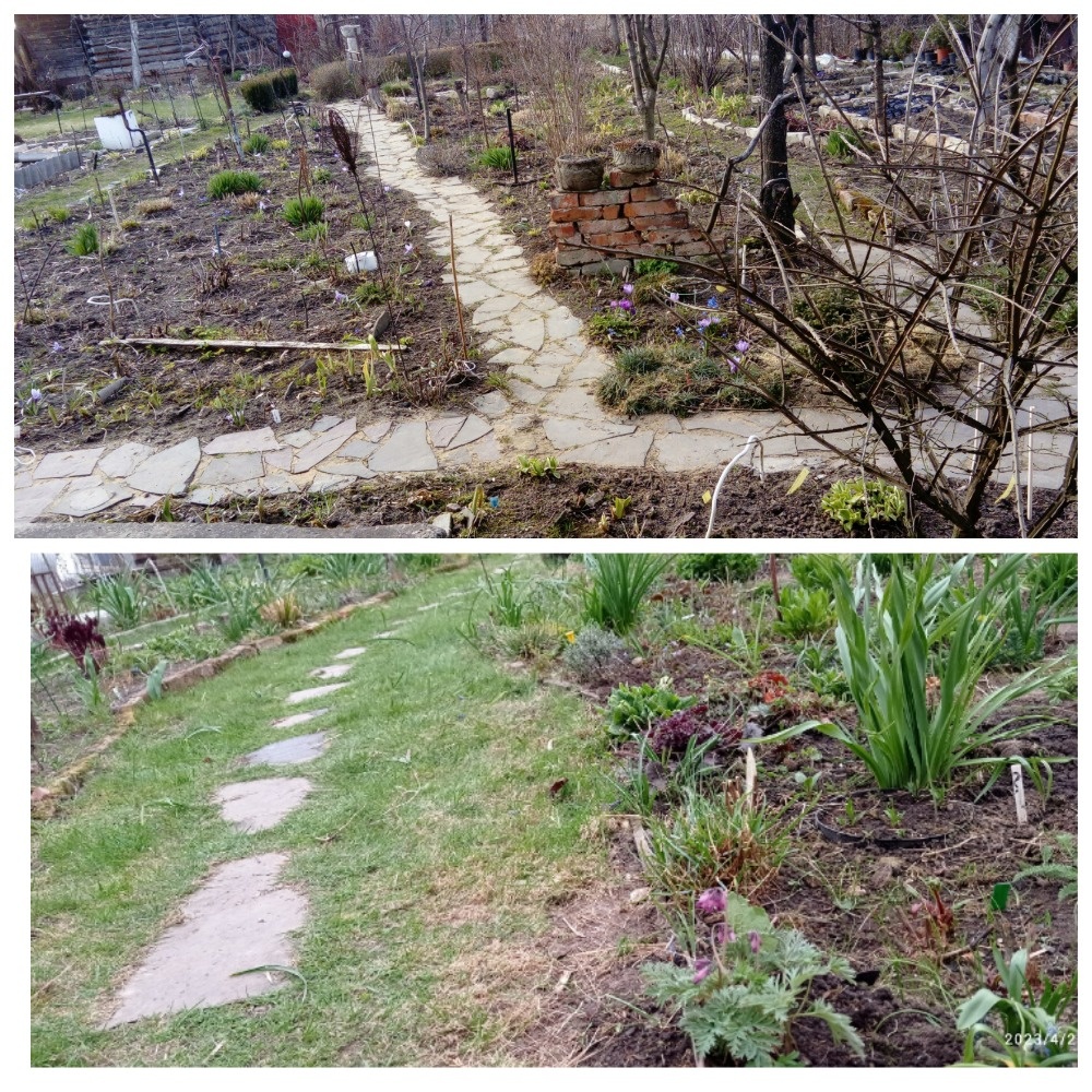 коллаж автора