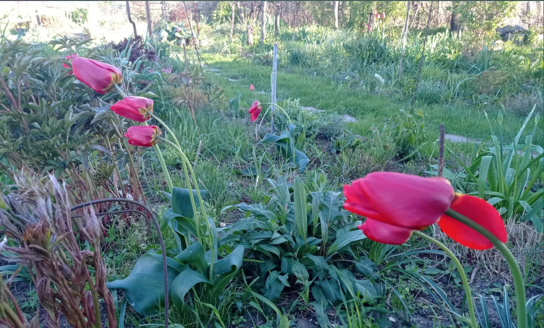 чуть позднее