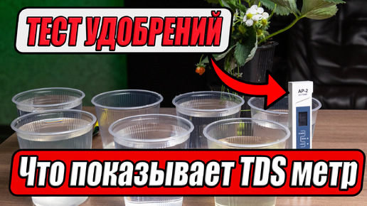 Анализы вес