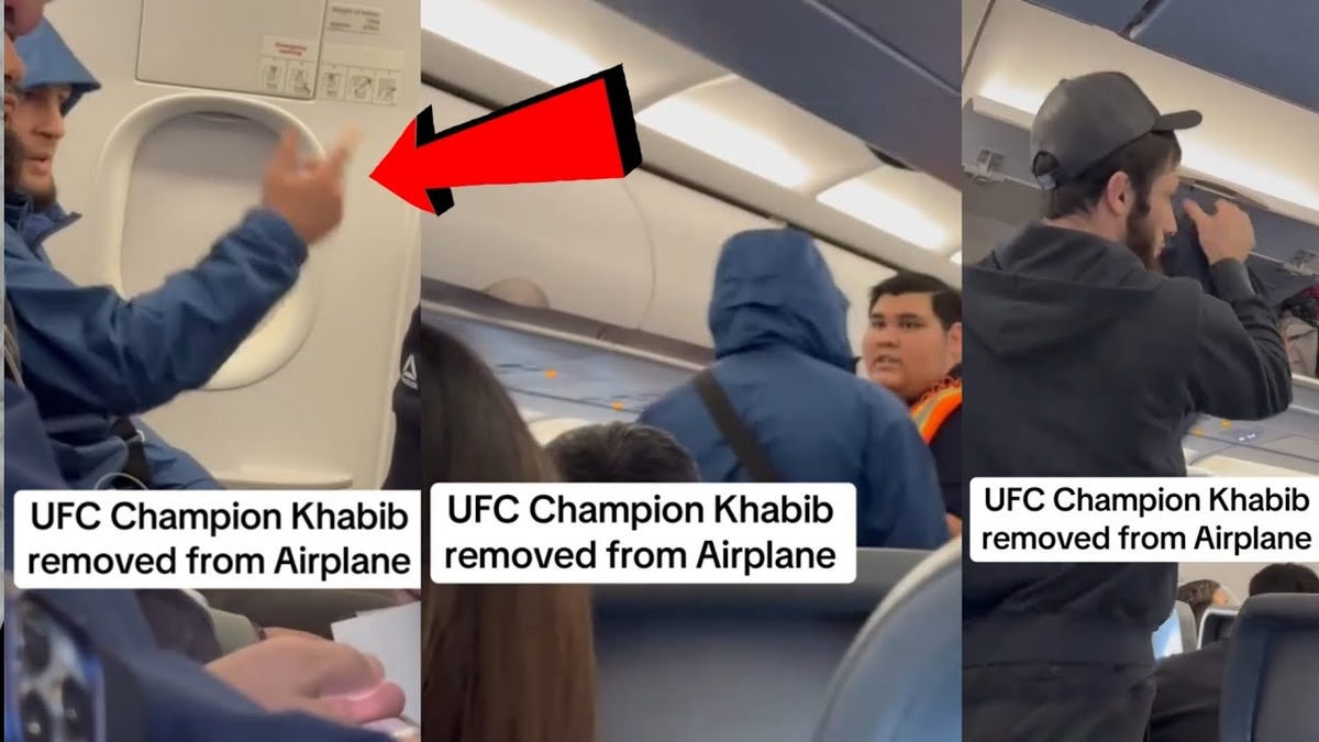 Из открытых источников Яндекса.