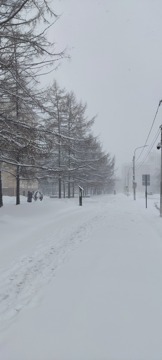 Дорог нет, только направление. 