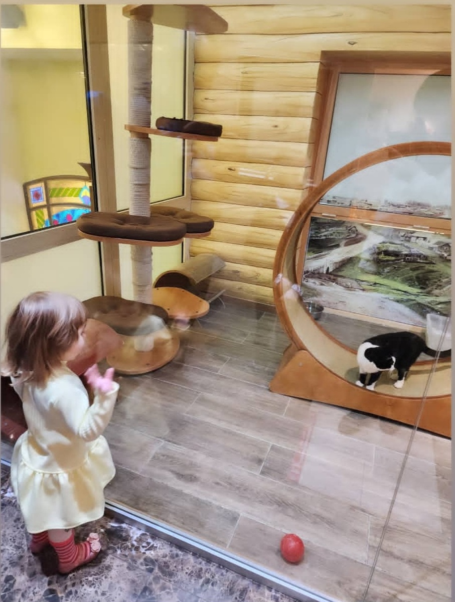 Детям очень интересно 