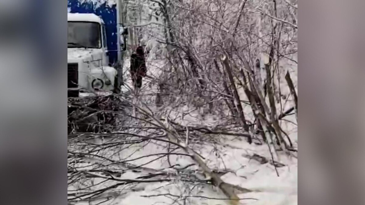    Фото: t.me/rosseti_lenenergo