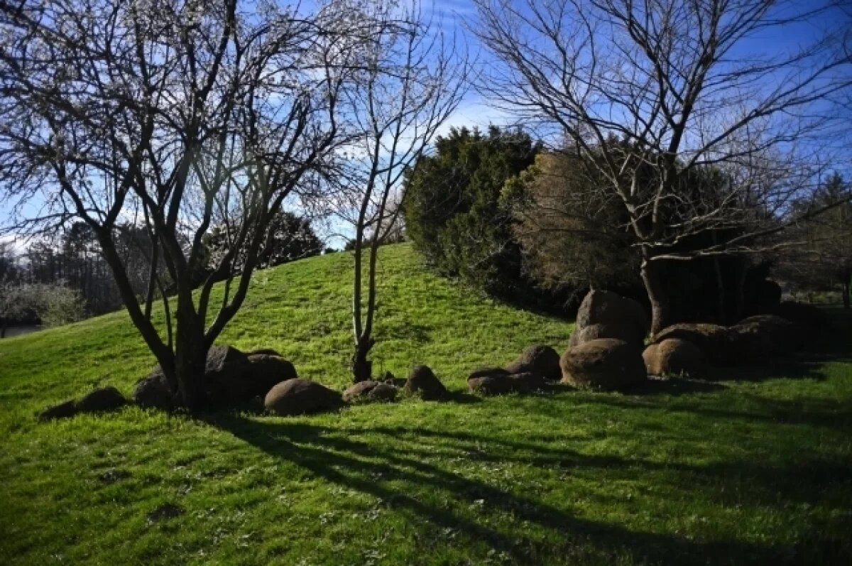    Глава Адыгеи отметил важность бережного отношения к природе при развитии