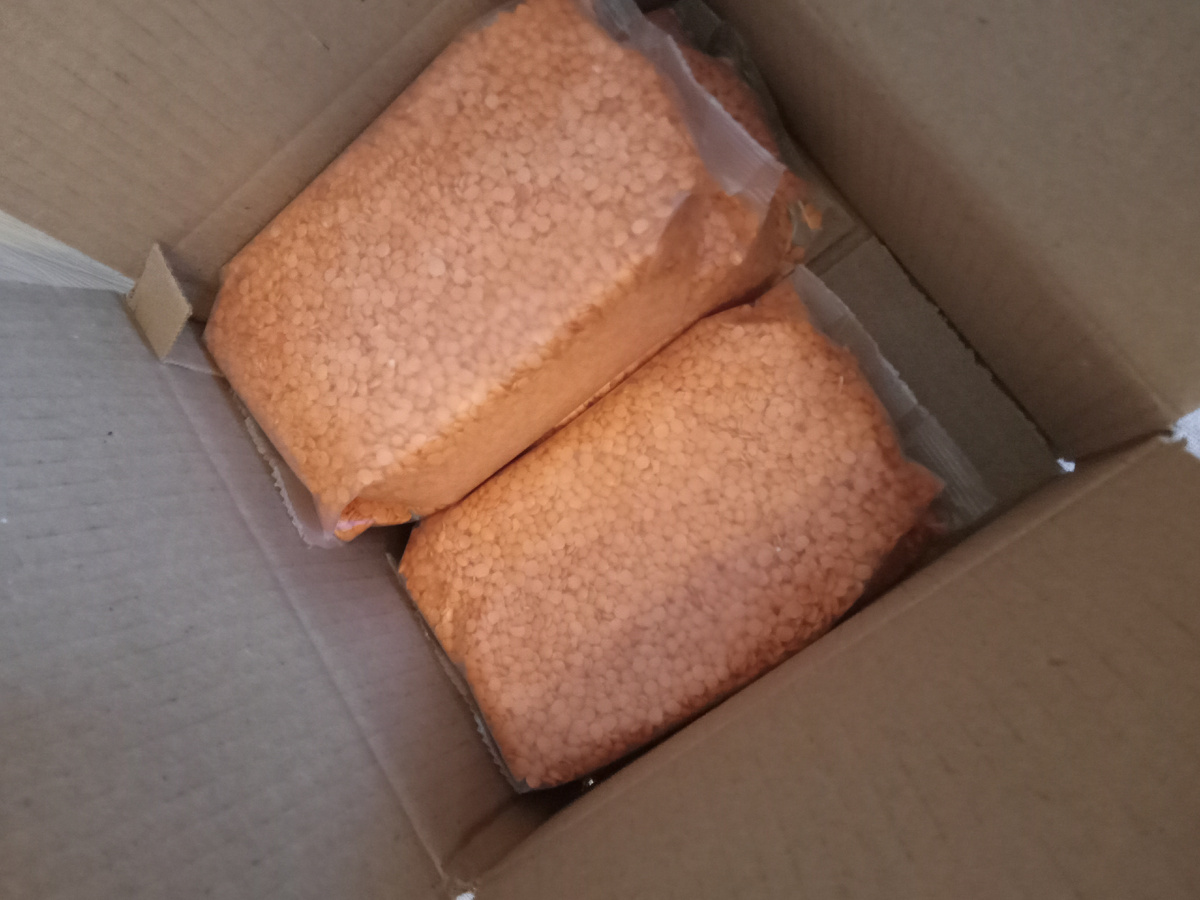 47394054  Фото автора.