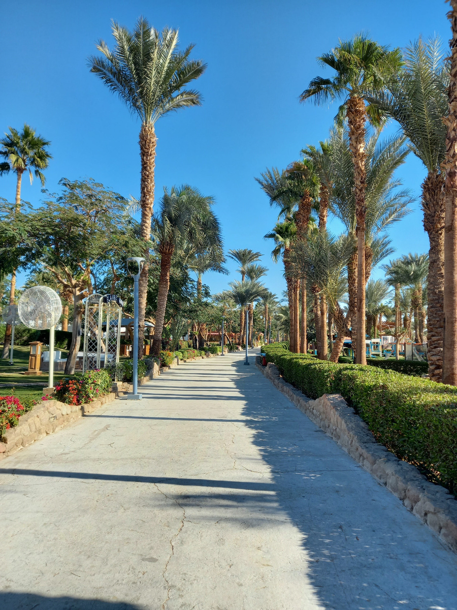 Вот такой прогулочный променад вдоль моря в бухте Naama Bay. Слева отели, справа - море.
