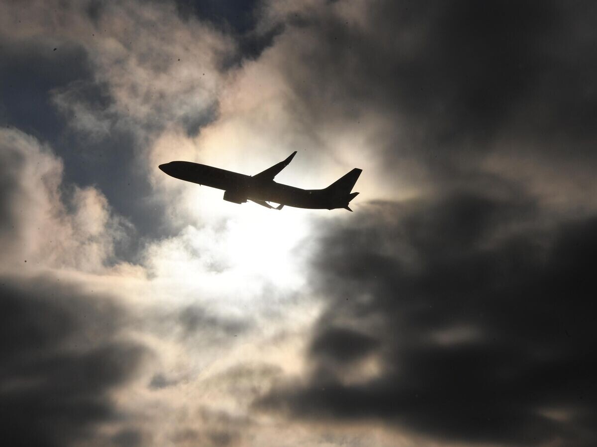    Самолет в небе над международным аэропортом Внуково© РИА Новости / Илья Питалев