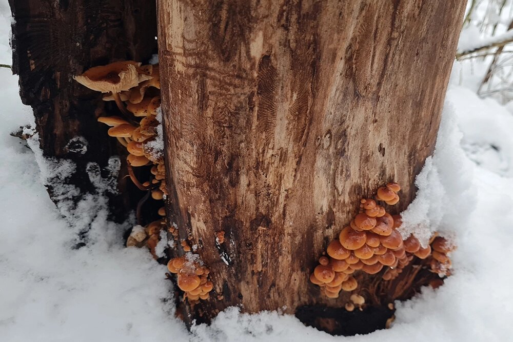    Фото: соцсети