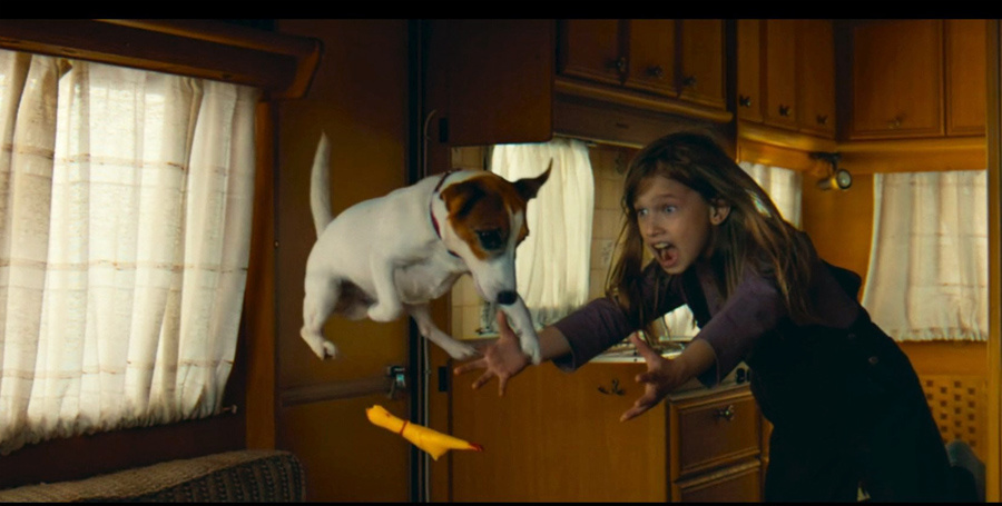 изображение из свободных интернет-источников