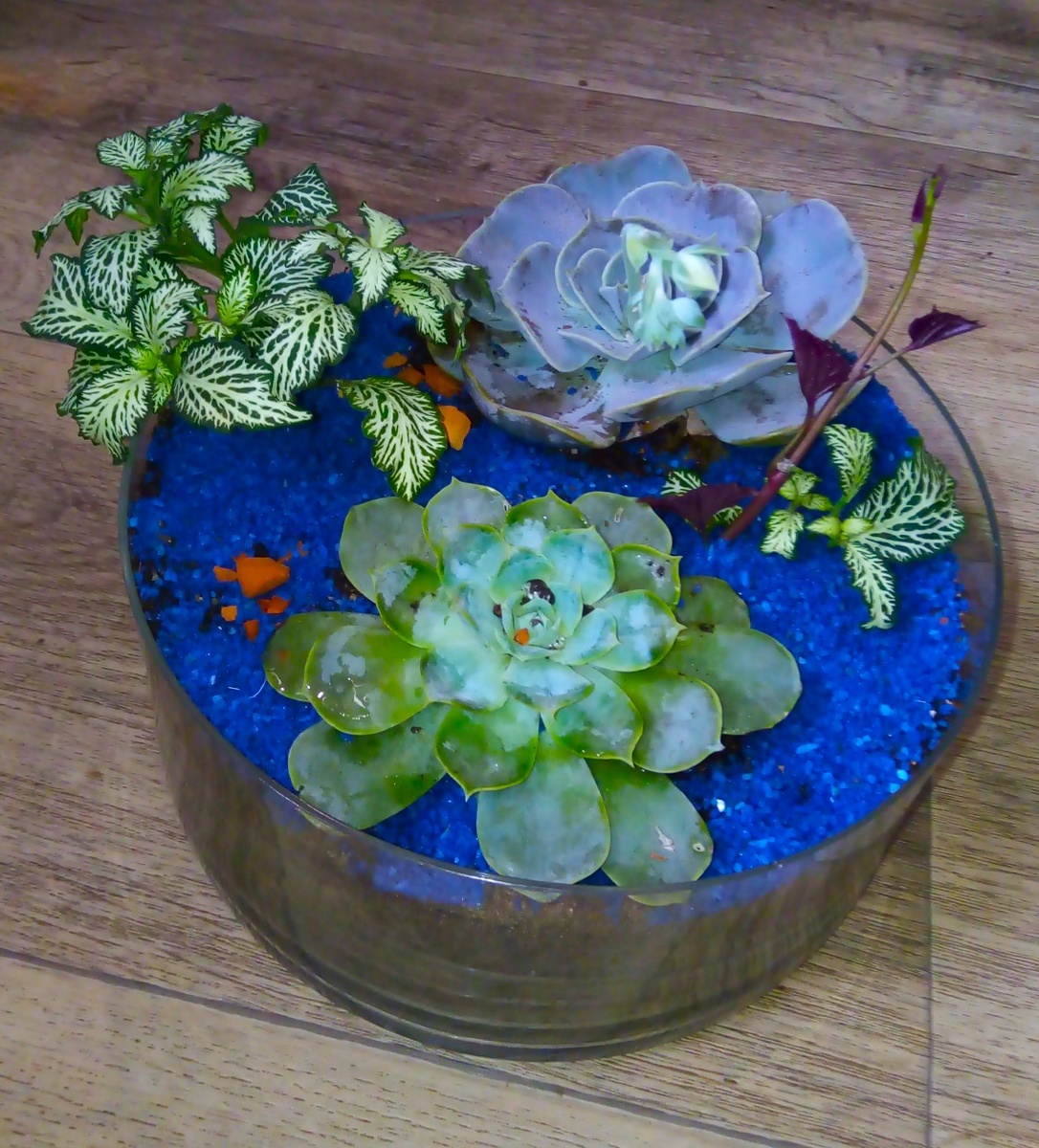 Фото автора.