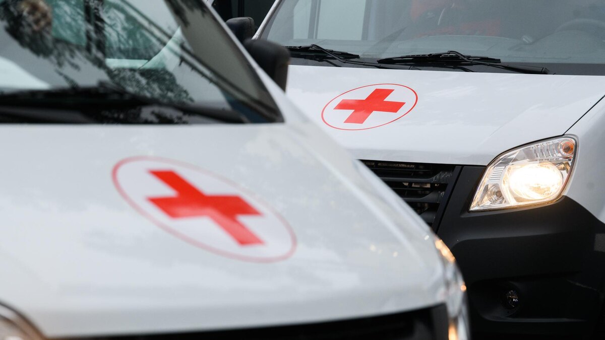    Фото: Ilya Moskovets/globallookpress.com